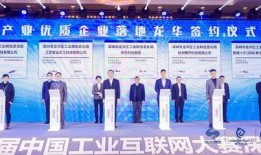 龙岗爆料新闻最新情况视频,视频揭露惊人真相！